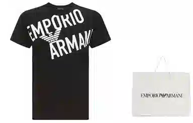 EMPORIO ARMANI SS23 logoT