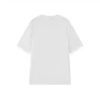 DEGAIA T