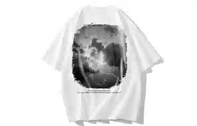 SWAMP AREA 320gLogoT