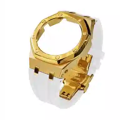 GA-21002110B2100 316