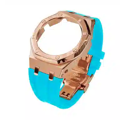 GA-21002110B2100 316