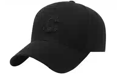 BSELEON C