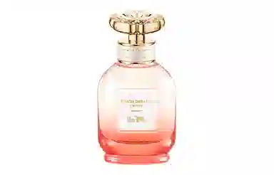 COACH40ml60ml90ml+2ml