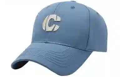 BSELEON C