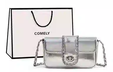 COMELY Crossbody Bag Silver