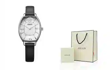 JULIUS JL Ins 30 JW9-20A