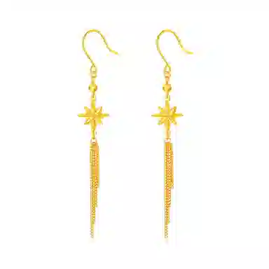 璀璨之心 拉丝八芒星流苏 精致轻奢小众高级感设计时尚百搭气质温柔 浪漫恋爱表白日心意礼盒 足金 按克计价 黄金耳钉 女款