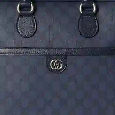 GUCCI Ophidia G