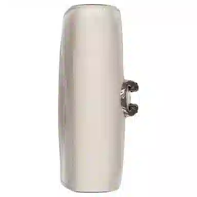 Gucci Dionysus Mini White