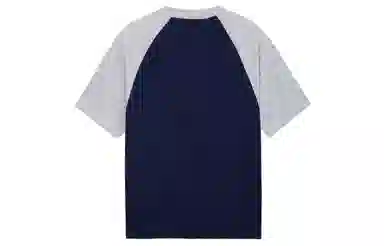 ICONS Lab T