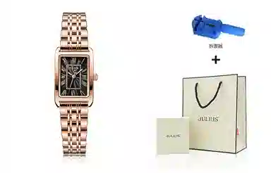 JULIUS JL ins JW1-252D