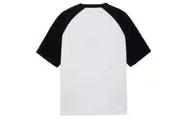 ICONS Lab T