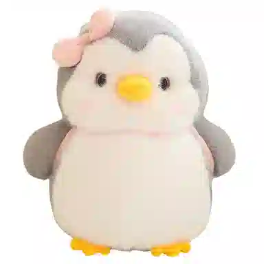 25cm35cm