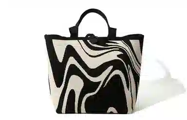 Master Canvas Zebra Shoulder Bag