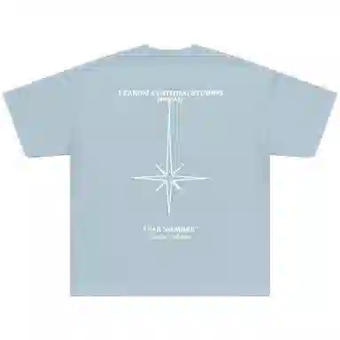 FEAROM T