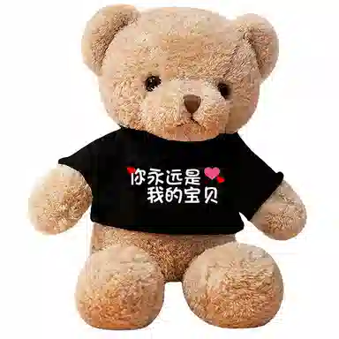 馨贝轩 特大号泰迪熊 定制卫衣熊 抱抱熊 蜜桃绒 夹腿睡觉娃娃 玩偶 毛绒公仔