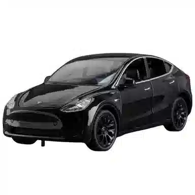 TY MODELS MODEL Y 124