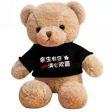 馨贝轩 特大号泰迪熊 定制卫衣熊 抱抱熊 蜜桃绒 夹腿睡觉娃娃 玩偶 毛绒公仔