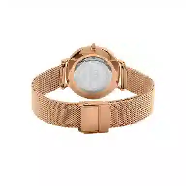 Daniel Wellington 32mm 30 DW00100163-dw
