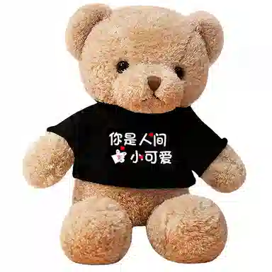 馨贝轩 特大号泰迪熊 定制卫衣熊 抱抱熊 蜜桃绒 夹腿睡觉娃娃 玩偶 毛绒公仔