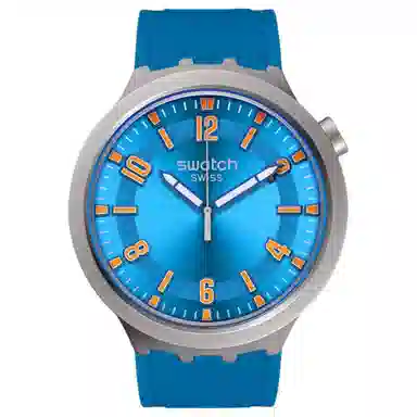 SWATCHSwatch Essentials 30 47mm