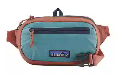 patagonia Mini Hip 1L
