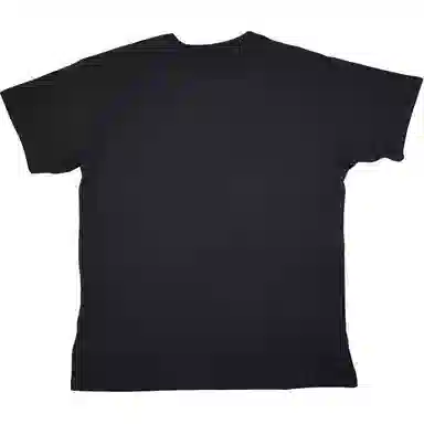 levis T