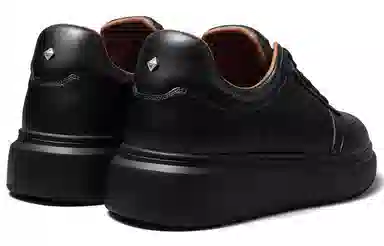 THOM WILLS trainer
