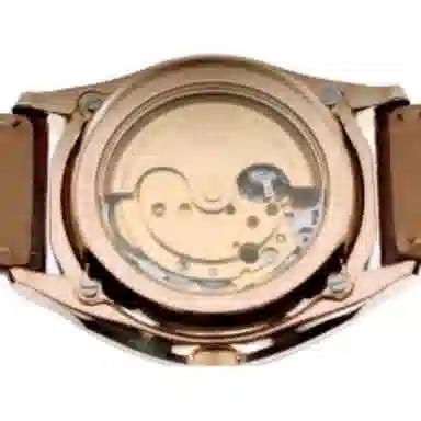 Citizen 40mm Brown Dial