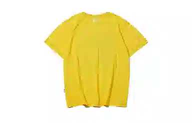 Vision Street Wear T