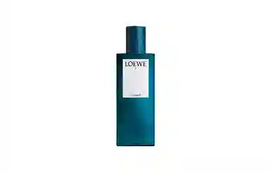 LOEWE EDP 50ml