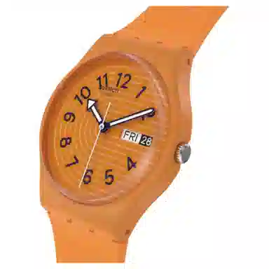 SWATCHSwatch Essentials 30 34mm