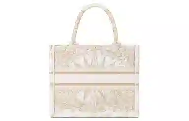 DIOR BookTote Tote