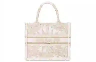 DIOR BookTote Tote