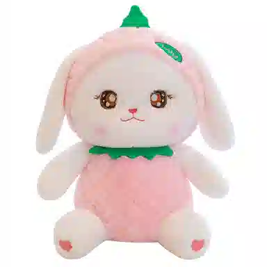 kakadream