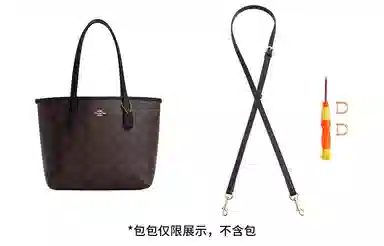 city23coachmini