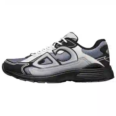 DIOR B30