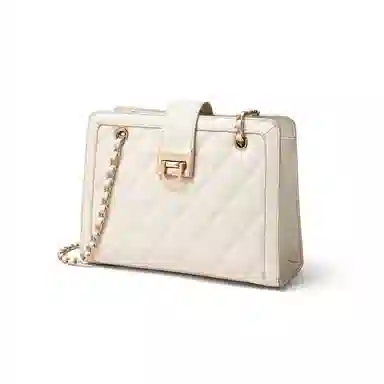 红蜻蜓 轻奢小众设计小香风高级感菱格金属双链条 牛皮 单肩包腋下包斜挎包 常规 女款 黑色