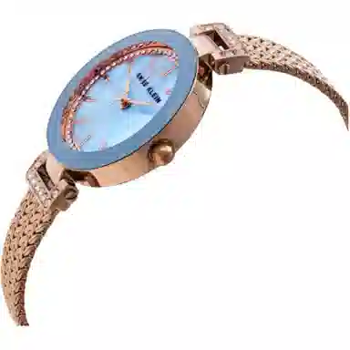 Anne Klein AK-1906LBRG