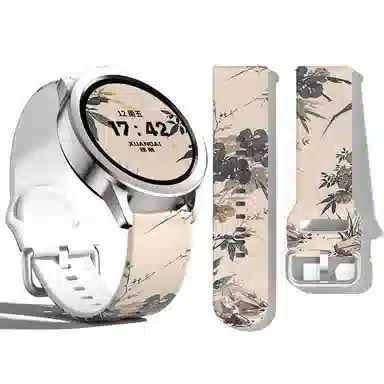 s3watchs2s1procalorgtr4gts