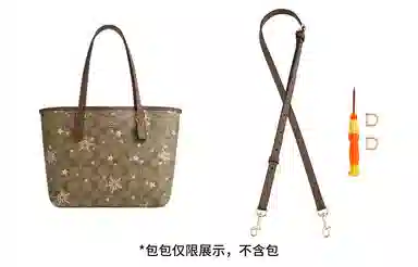 city23coachmini