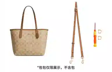 city23coachmini