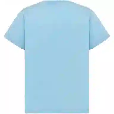 DIOR T