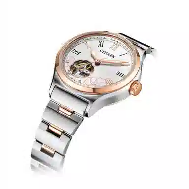 CITIZEN PC1008-89A