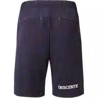 DESCENTE Logo
