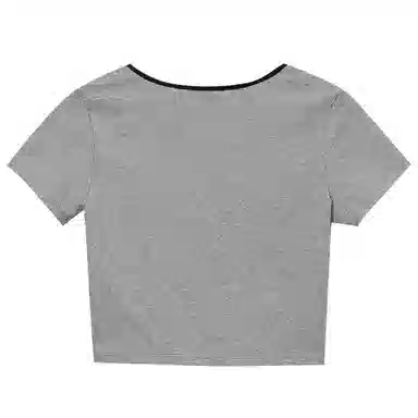 WESTLINK T