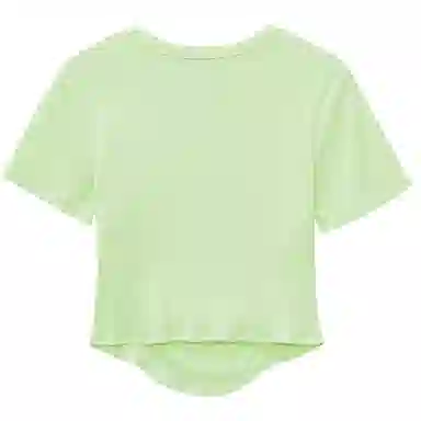 WESTLINK T