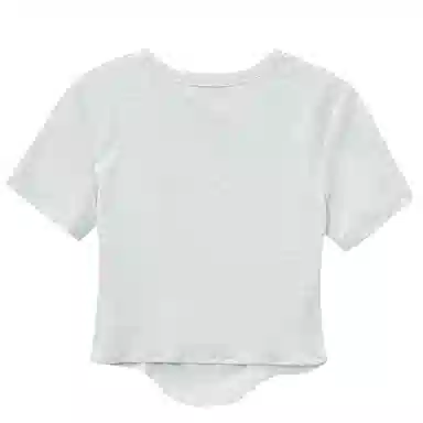 WESTLINK T