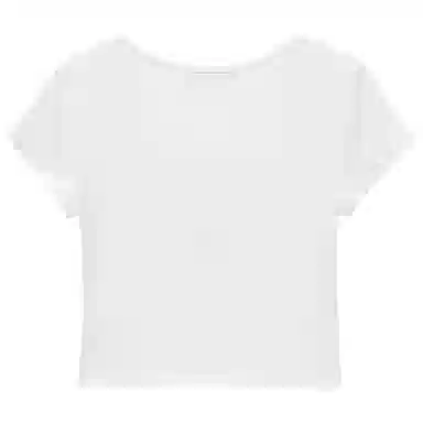 WESTLINK logo T