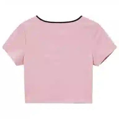 WESTLINK T